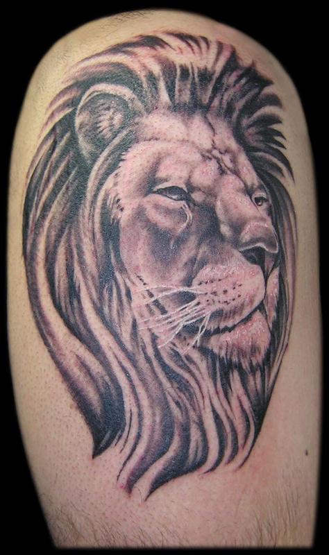 Black and Grey Lion