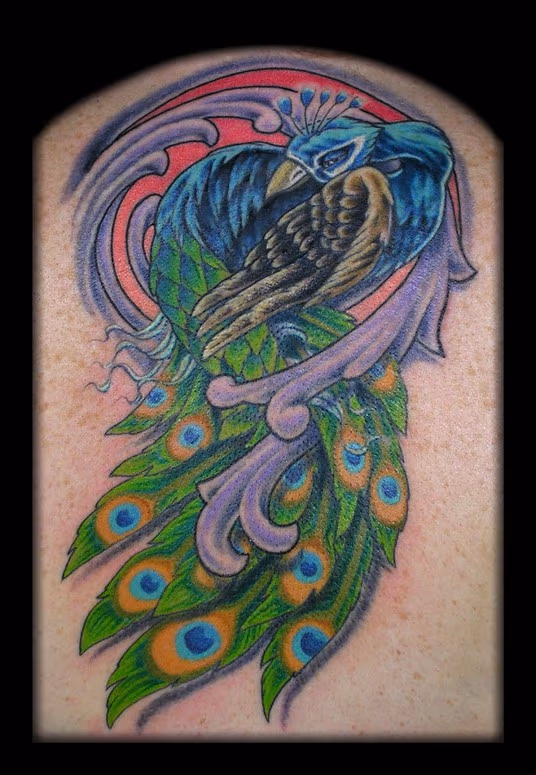 Peacock Coverup