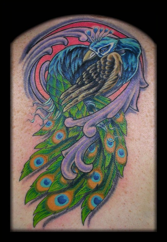 Peacock Coverup