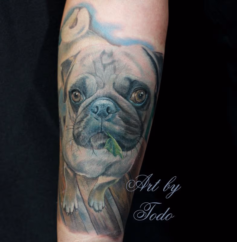 Pug Portrait