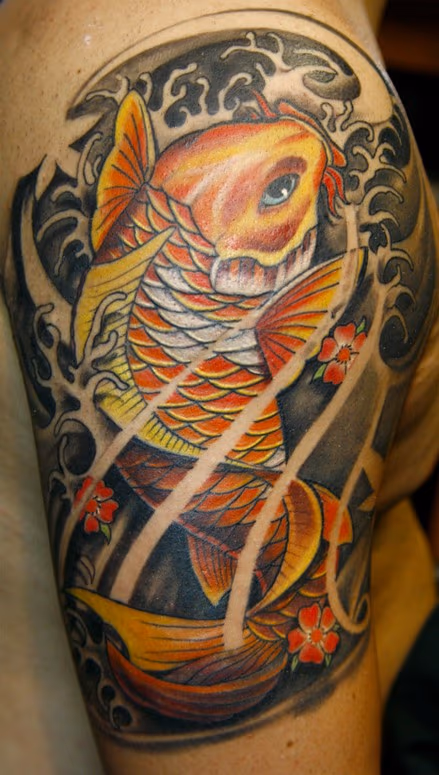 Todo Koi