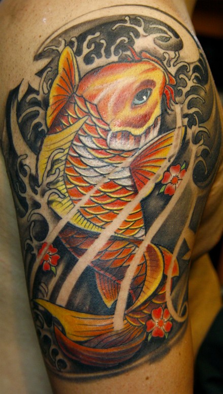 Todo Koi