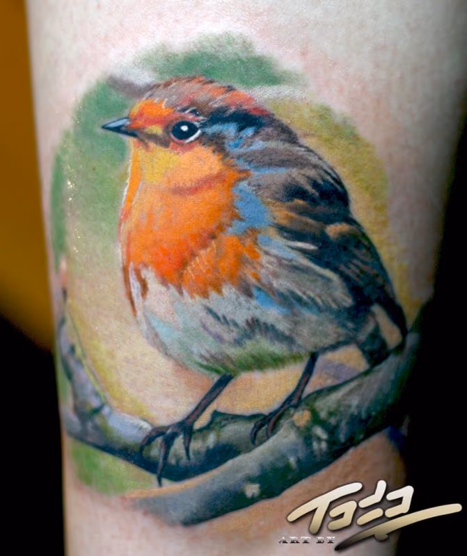 Baby Robin