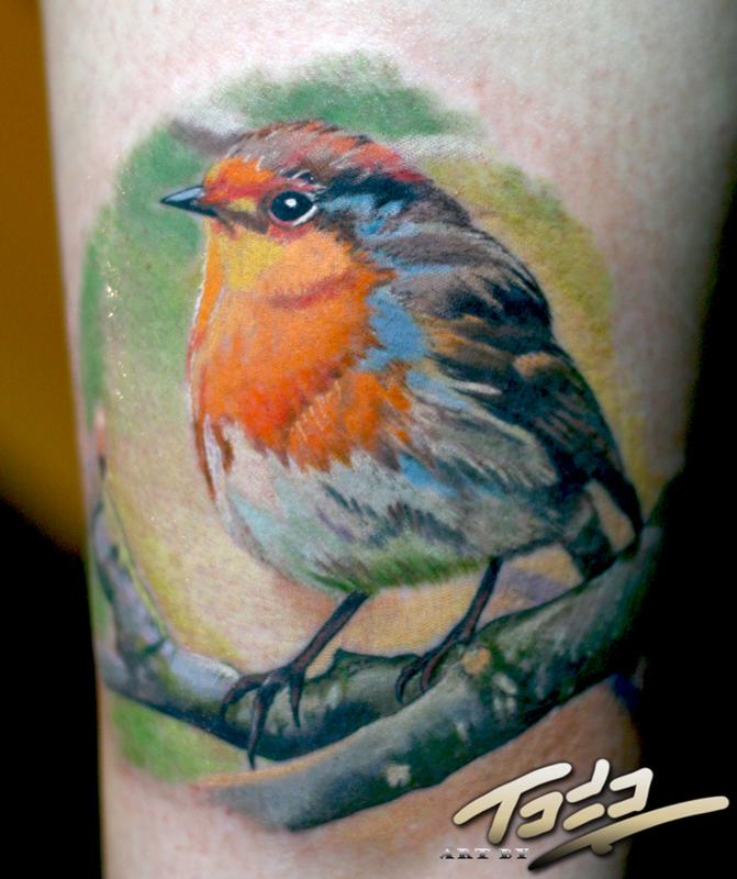 Baby Robin