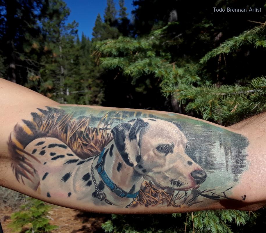 Dalmatian
