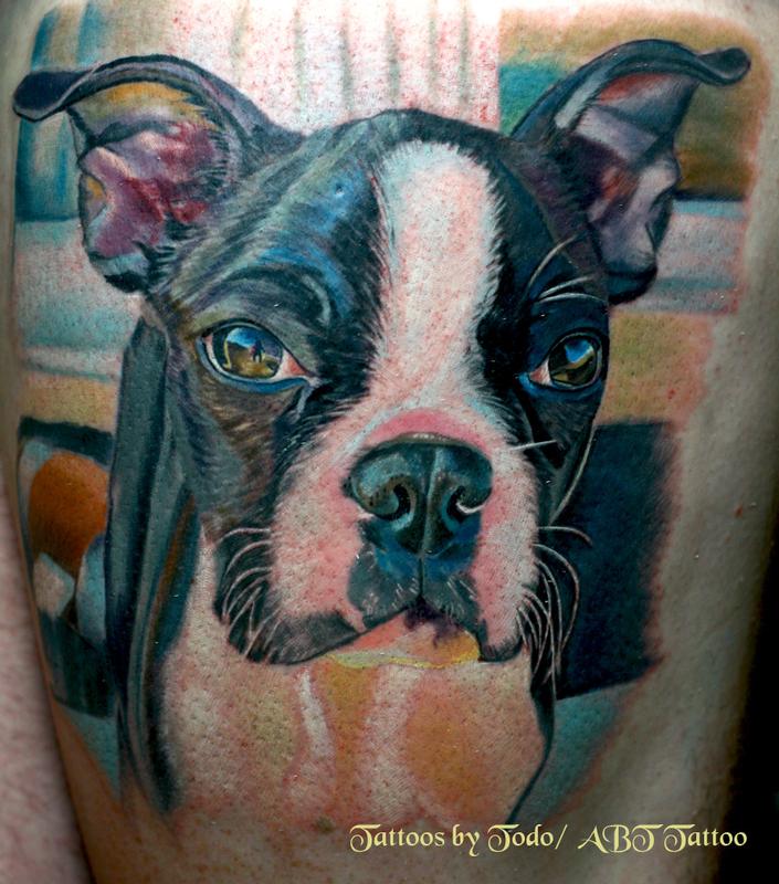 Boston Terrior Portrait