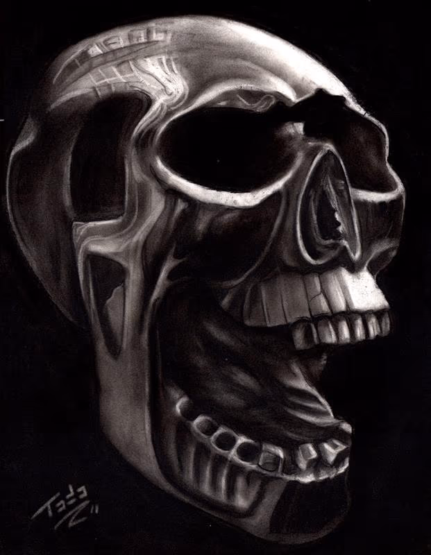 Skull Study