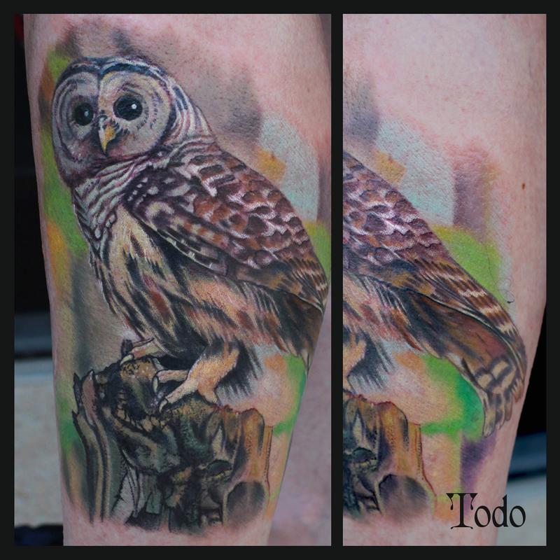 Barred Owl