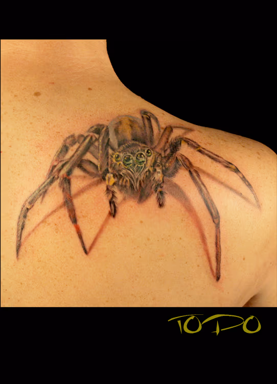 spider