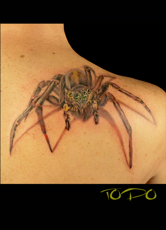 spider