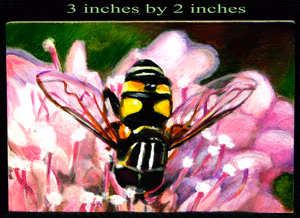 Pint Size Bee