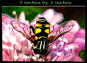 Pint Size Bee