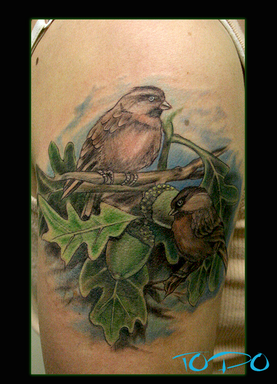 Chickadee