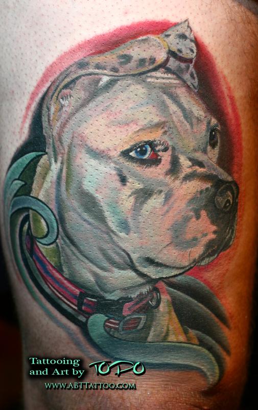 Pit bull portrait