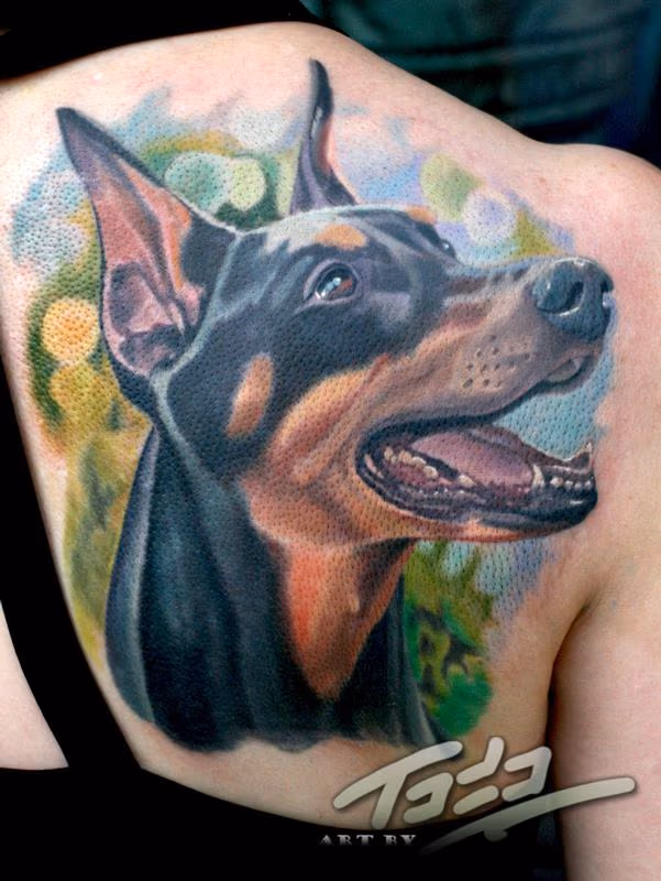 Doberman portrait