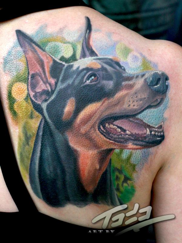 Doberman portrait