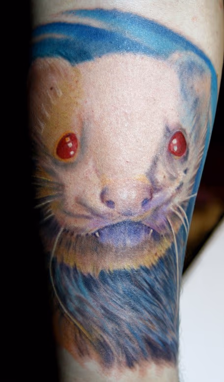 White Ferret