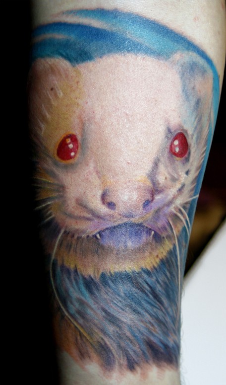White Ferret