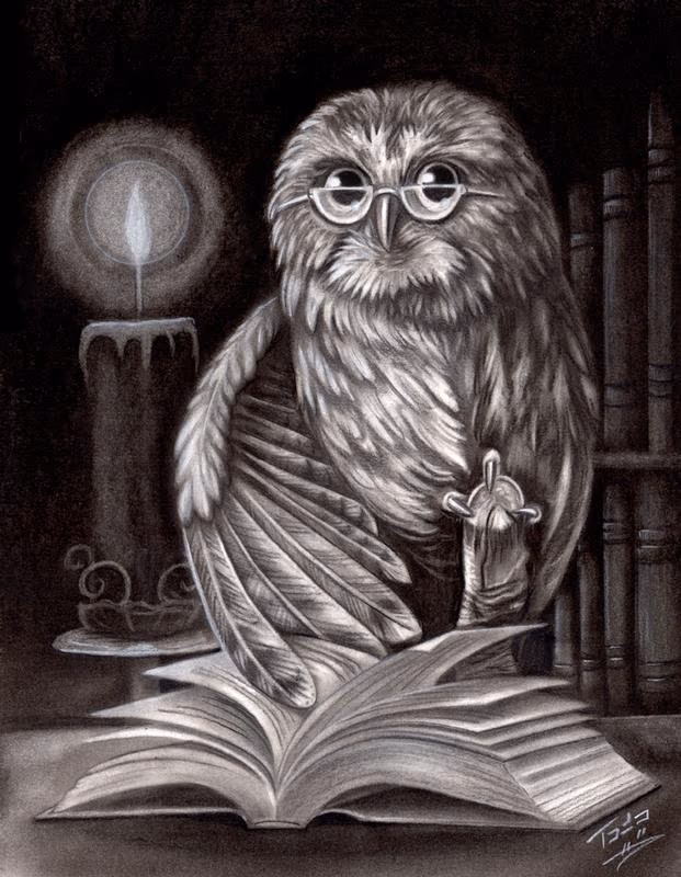 Book Owl