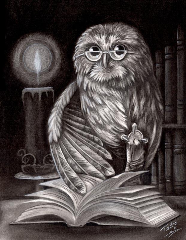 Book Owl