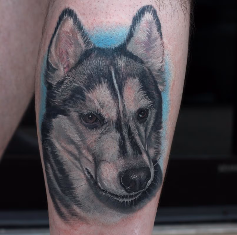 Husky Portrait
