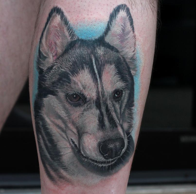 Husky Portrait