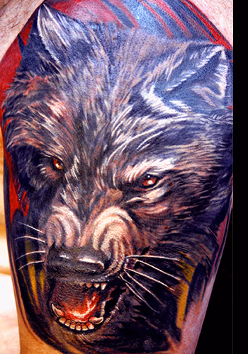 Wolf
