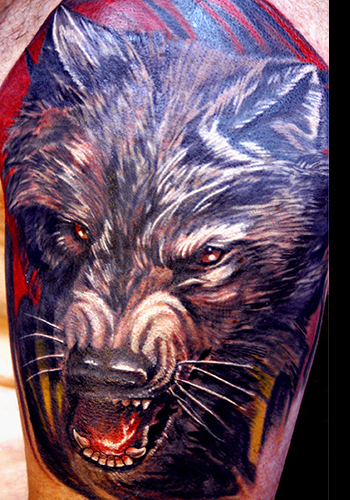 Wolf