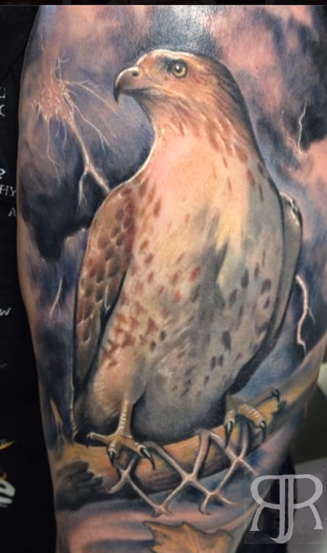 Hawk