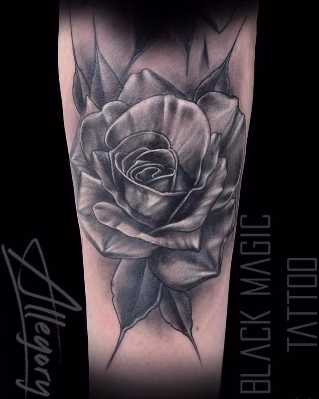 Black and Gray Rose