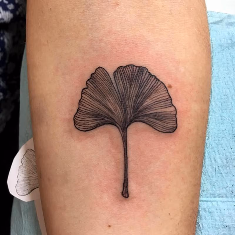 Ginko Leaf