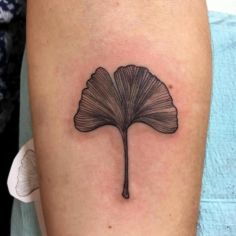 Ginko Leaf