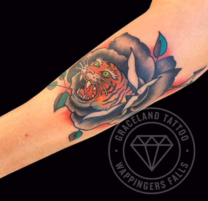Tiger, Rose Traditional Tattoo