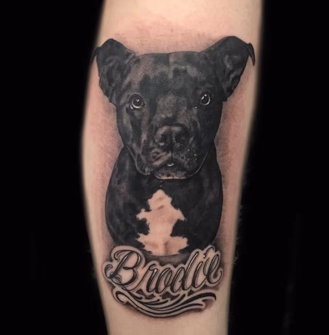 Dog Portrait