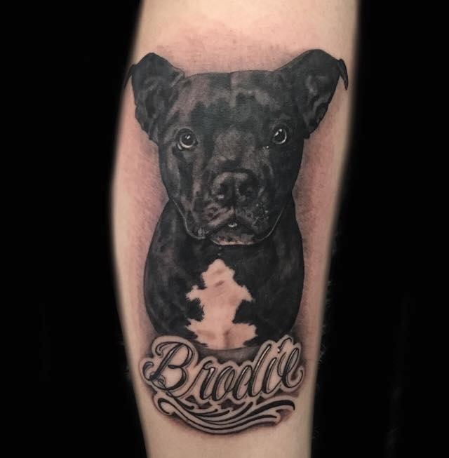 Dog Portrait