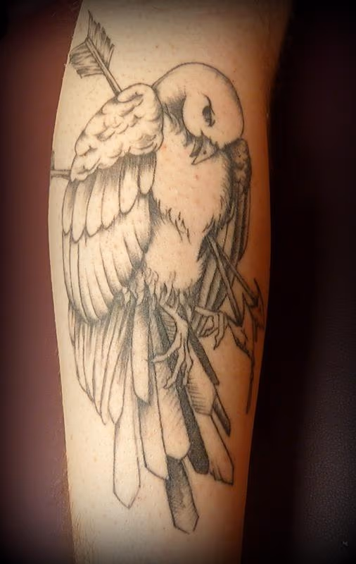 Bird