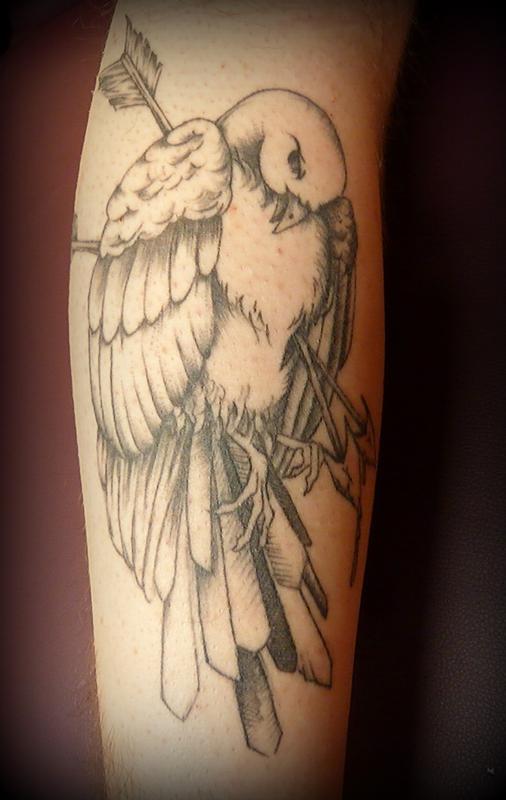 Bird