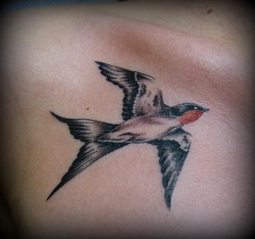 Swallow Tattoo