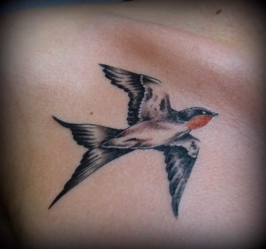Dainty swallow