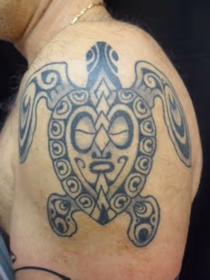 Polynesian turtle
