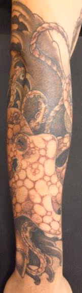 Octopus 1
