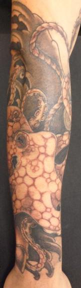 Octopus 1