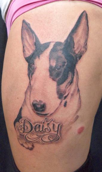 dog Portrait dog