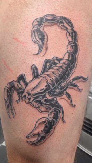 Scorpion