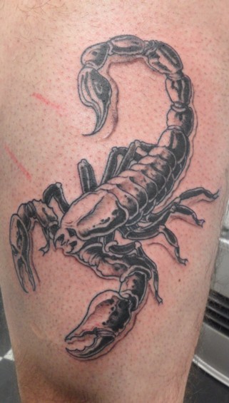 Scorpion