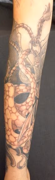Octopus 2
