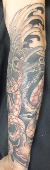 Octopus 5