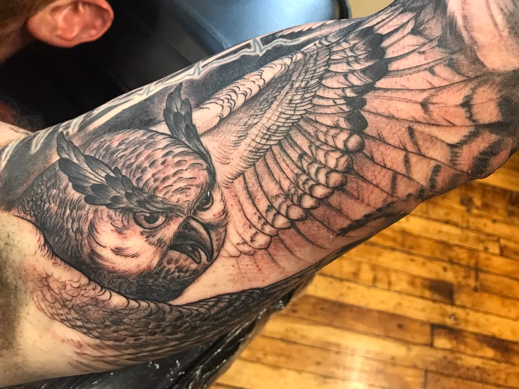 Black and grey owl