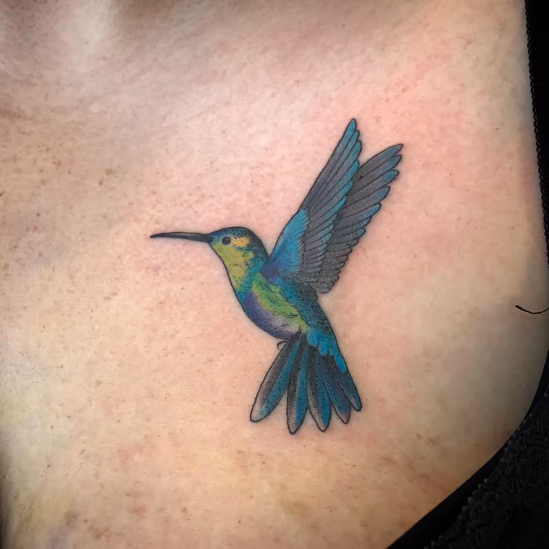 Hummingbird