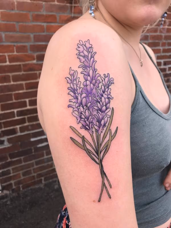 Lavender